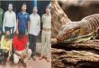 Four Indian men rape monitor lizard